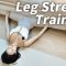 Leg Stretch Training l 다리를 일자로 찢는 방법