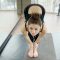 Gymnastics exercises – Full Body Stretching
