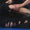 02 Frederick van Laak Contortion: Deep Fold Backbend – Also for Yoga, Pole, Ballet, Dance People
