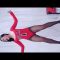 Chinese Sexy Dance (167) Chicago Bulls Leotard Swimsuits Mobile Version