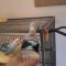 Budgies drink from a water bottle