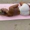 Hot Yoga and Contortion, Flexibility, Total Body Stretch Flexibility Exercises