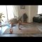 20 minute Yoga Flow Hip and Pelvis Opener