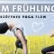 Yoga Vinyasa Flow | Fit Im Frühling | Happy Herzöffner