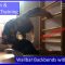 Contortion Training by Flexyart 219: Wallbar Contortion – Also for Yoga, Poledance, Ballet, Dance