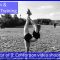 Contortion Training by Flexyart 169: Contortion Shooting – Also for Yoga, Poledance, Ballet, Dance