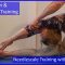 Contortion Training by Flexyart 195 Needle Training:   – Also for Yoga, Poledance, Ballet, Dance