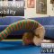 Contortion Training by Flexyart 241: extrem Backbends (2) Also for Yoga, Poledance, Ballet, Dance