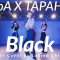 BoA X TAPAHA – Black / Dance cover by Lauren Chiang