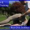 Contortion Training by Flexyart 165: Karolina Outdoor – Also for Yoga, Poledance, Ballet, Dance