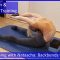 Contortion Training by Flexyart 173: Backbends w. weights – Also for Yoga, Poledance, Ballet, Dance