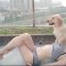 요가 스트레칭 sexy yoga  and my  dog  stretching hip-lifting workout morning yoga 瑜伽拉伸運動鍛煉②