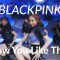 BLACKPINK – ‘How You Like That’ / ZN @ZNTV梓梓董梓甯