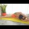 🙆‍♀️Yoga wheel Hip-up exercise at home after work 🏡Beginner Yoga Series |