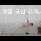 전신을 활력있게 만들어주는 모닝 10분 요가(ft.안다르)