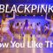 BLACKPINK – ‘How You Like That’ / Denise Blue Choreography @Denise Blue 藍妹Blue Bro 藍弟