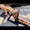 12 MIN PILATES WORKOUT | Full Body Flexibility & Strength Stretching | VICKY ROSS