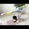 CONTORTION STRETCHING Workout | yoga challenge on Gymnastics for flexibility.