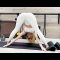 Yoga stretch Legs | Workout Contortion | Stretches Splits and Oversplits | Gymnastics training