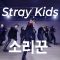 Stray Kids(스트레이 키즈) – 소리꾼 / WenHao & FanFan