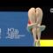 WOW! Womens Diving Only for Men of Culture  The Best Women’s Diving 3m Platform  Girls Diving